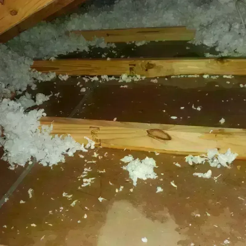 Attic Water Damage in Mitchell County, TX