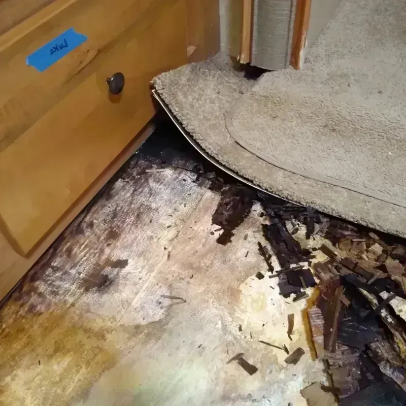 Wood Floor Water Damage in Mitchell County, TX